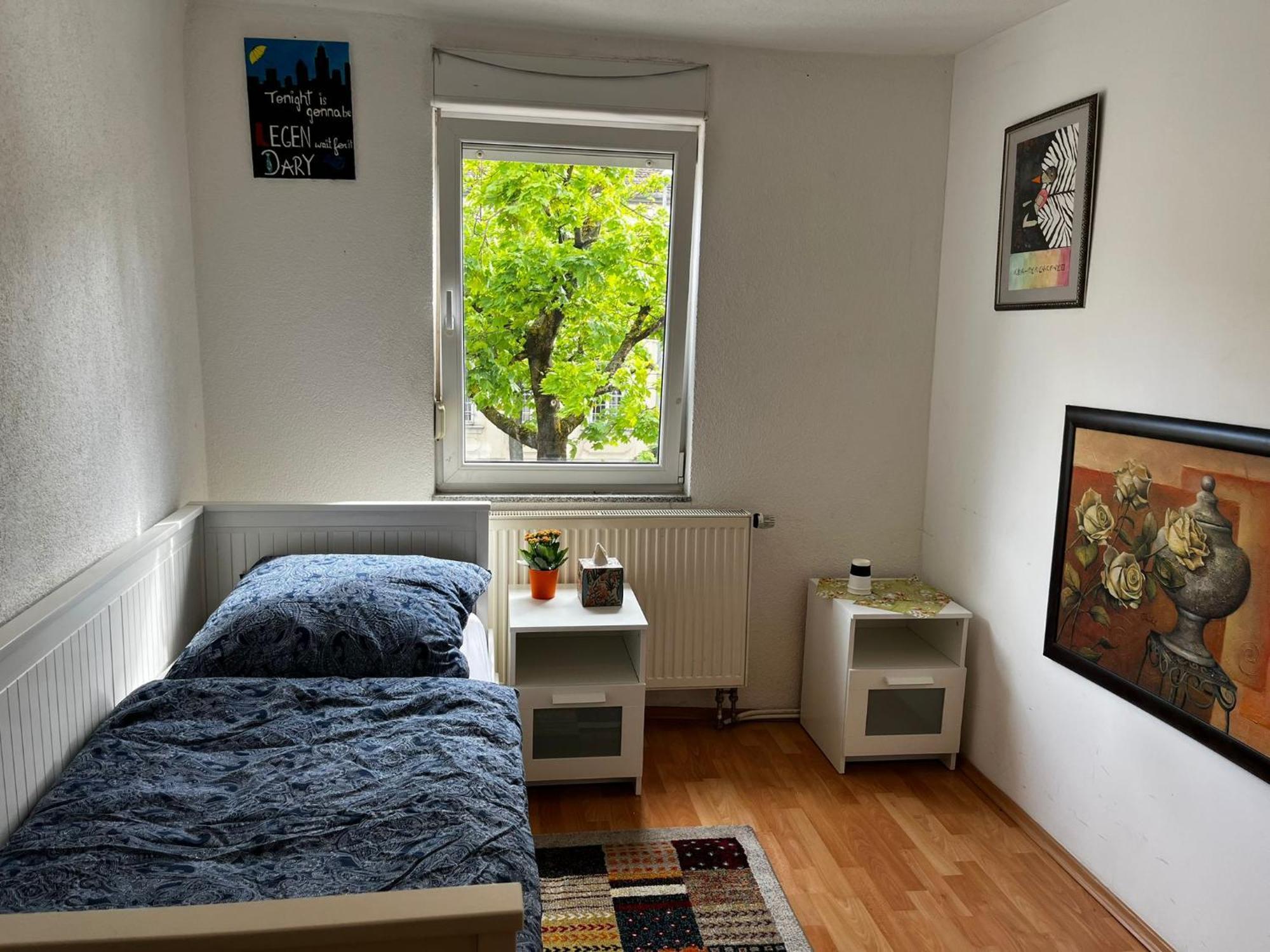 Solo Am Residenzschloss Ludwigsbourg Extérieur photo